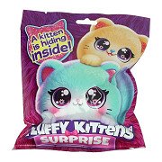 Pluizige Kitten met Lange Staart