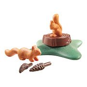 Playmobil Wiltopia Squirrels - 71065