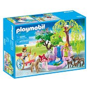 Playmobil Prinz und Prinzessin mit Kutsche und Wasserfall – 5021