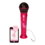 Sing Along Microphone