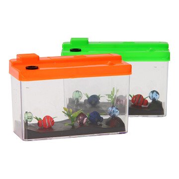 Groei Aquarium