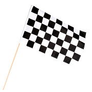 Waving Flag Racing