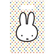 Miffy Handout Bags, 6 Stk.