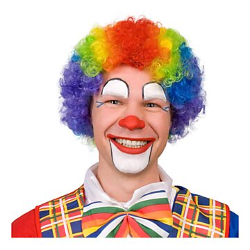 Wig Clown Multicolor Adults