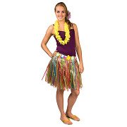 Hawaii Skirt Multi Colors (45 Cm)