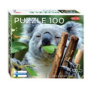 Jigsaw puzzle Koala at Lone Pine, 100pcs.