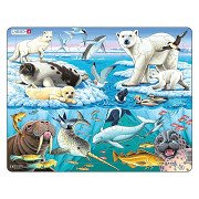 Larsen Jigsaw Puzzle Animals - Arctic Animals, 75 pcs.