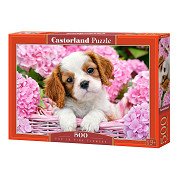 Castorland Jigsaw Puzzle Puppy in pink flowers, 500pcs.