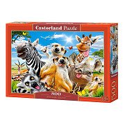 Castorland Puzzle Afrikanisches Selfie, 500 Teile.