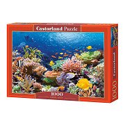 Castorland Puzzle Korallenrifffische, 1000 Teile.