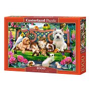 Castorland Puzzle „Haustiere im Park“, 1000 Teile.