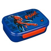 Spiderman lunch box