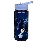 AERO Frozen Drinking Bottle - 500ml