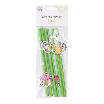 Papieren Rietjes Fruit Aloha - 6st.