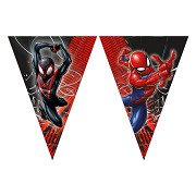 Papieren Vlaggenlijn Spiderman World of Web