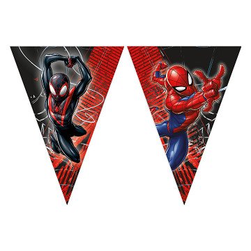 Papieren Vlaggenlijn Spiderman World of Web