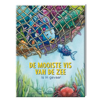 Der schönste Fisch des Meeres ist in Gefahr