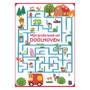 Mijn grote boek vol doolhoven
