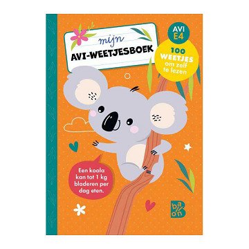 Mein AVI-Faktenbuch – AVI E4