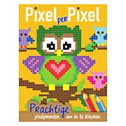 Pixel Coloring Book Owls
