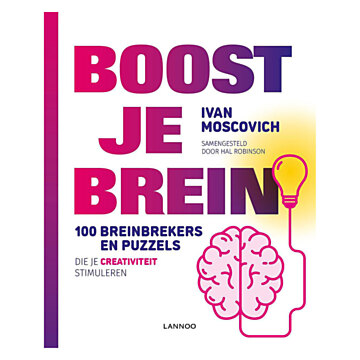 Boost je Brein - 100 Breinbrekers & Puzzels - Creativiteit