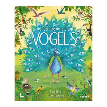 The Wonderful World of Birds