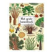 The Big Book of Trees