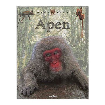 Animals in the Wild - Monkeys