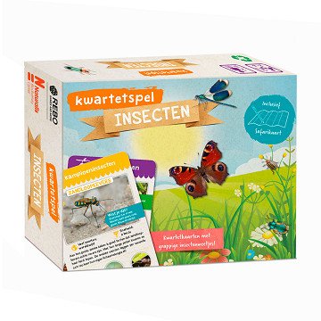 Quartettspiel Insekten