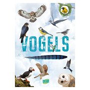 Birds - Guide and Nature Diary for Children