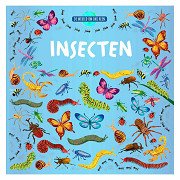 The World Around Us - Insects