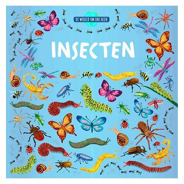 The World Around Us - Insects