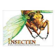 Book About Insects, Terrifying Creatures