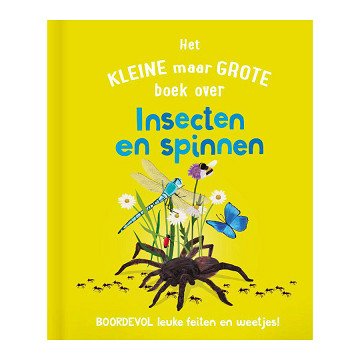 The Small But Big Book About? Insects Spiders