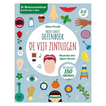 Five Senses - Best Practice Book