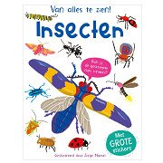 Insekten – viel zu sehen!