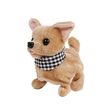 Bring mich nach Hause, rennender Hund, Chihuahua
