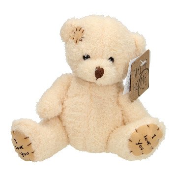 Take Me Home Cuddly Bear White