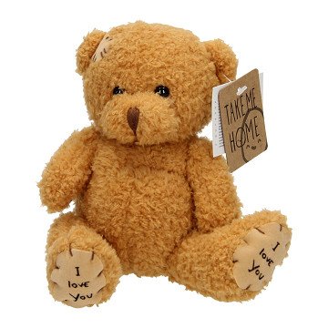 Take Me Home Teddy Bear Dark Brown