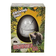 Dinoworld Dinosaur Growth Egg, 6cm