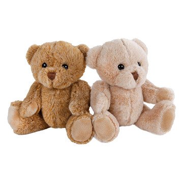 Take Me Home Stuffed Animal Bear Plush