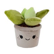 Take Me Home Cuddle Plant Plush - Succulent Plant