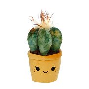 Take Me Home Cuddle Plant Plush - Cactus