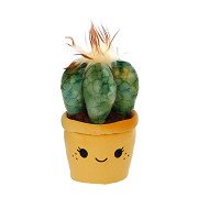 Take Me Home Cuddly Plant Plush - Cactus