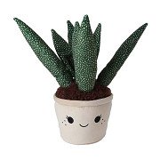 Take Me Home Cuddly Plush - Aloe Vera Plant Dots, 45cm