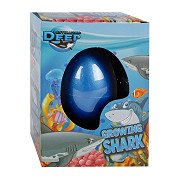 Destination Deep Egg mit wachsendem Hai, 6 cm