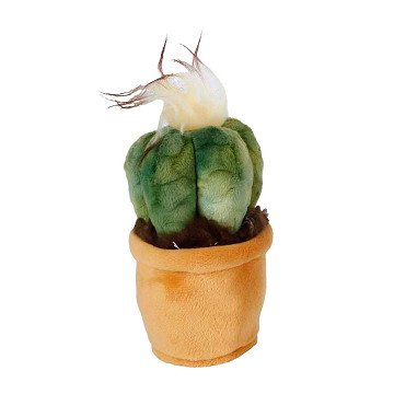 Take Me Home Cuddly Plant Plush - Cactus, 12-17cm