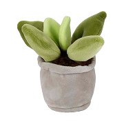 Take Me Home Knuffel Plant Pluche - Vetplant, 12-17cm