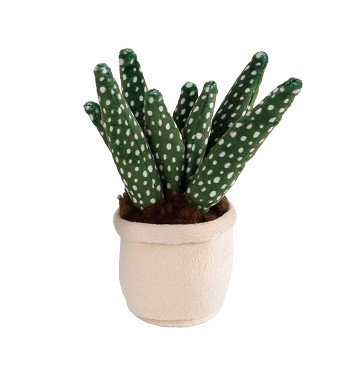 Take Me Home Knuffel Plant - Aloë Vera , 12-17cm