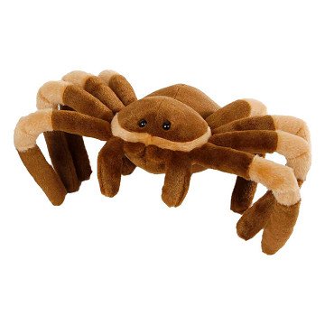 Jungle Expedition Plush Toy - Spider Brown, 23cm